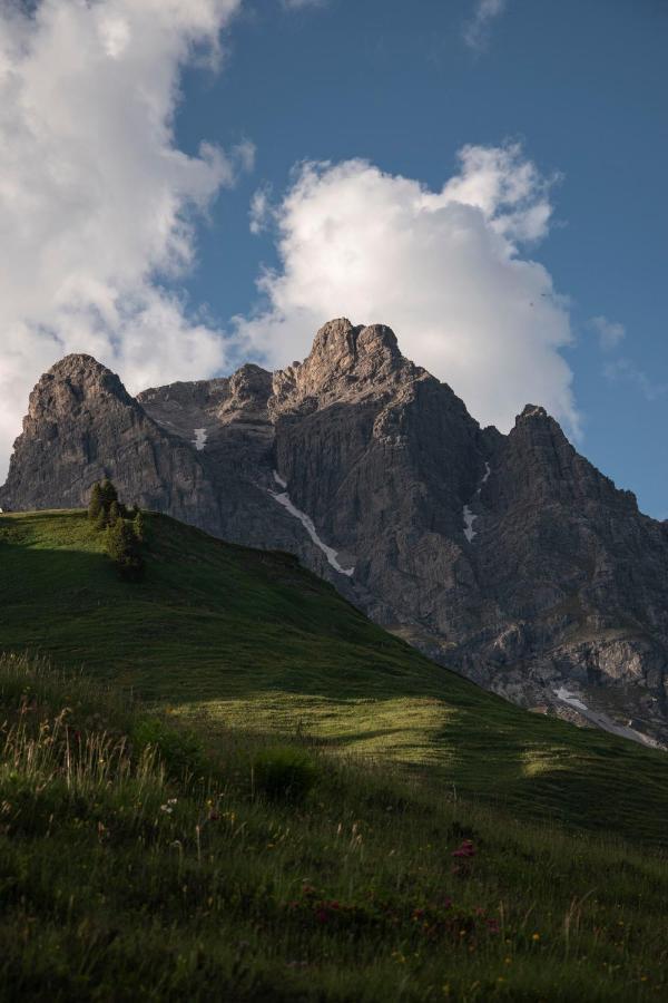 Hotel Hubertus - Au Bregenzerwald Au (Vorarlberg) Eksteriør bilde