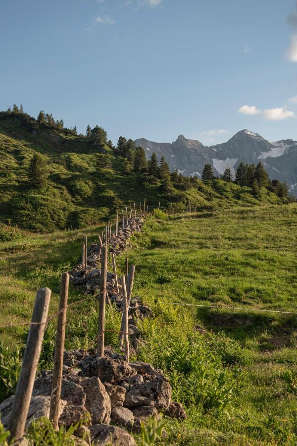 Hotel Hubertus - Au Bregenzerwald Au (Vorarlberg) Eksteriør bilde